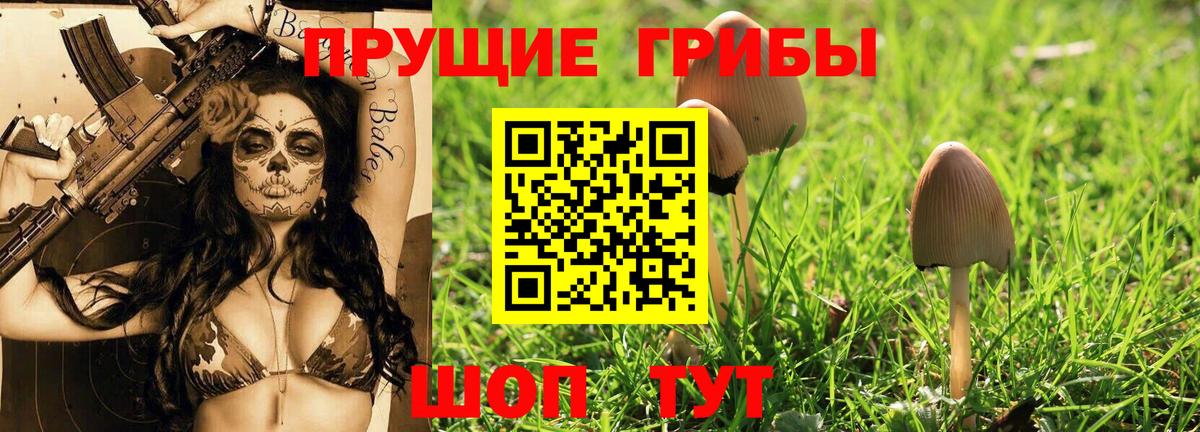 Псилоцибиновые грибы Magic Shrooms  магазин продажи наркотиков  Псилоцибиновые грибы мухоморы  Киржач  Вход с VPN 